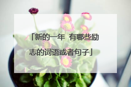 新的一年 有哪些励志的词语或者句子