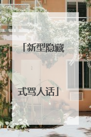 新型隐藏式骂人话