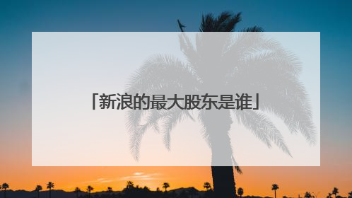 新浪的最大股东是谁
