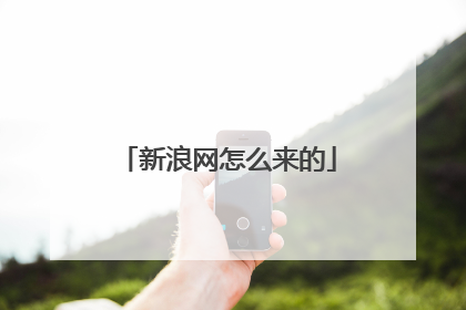 新浪网怎么来的