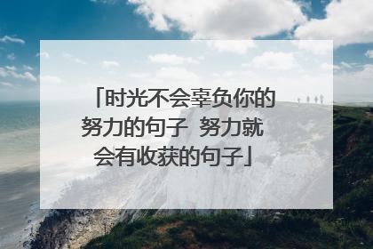 时光不会辜负你的努力的句子 努力就会有收获的句子