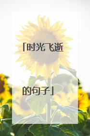 时光飞逝的句子
