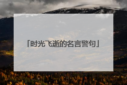 时光飞逝的名言警句