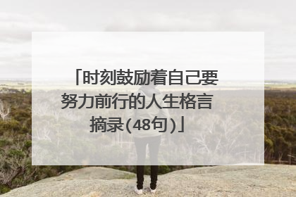 时刻鼓励着自己要努力前行的人生格言摘录(48句)
