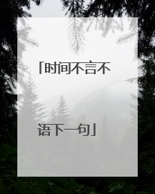 时间不言不语下一句