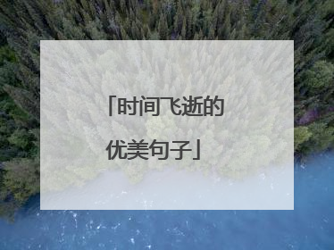 时间飞逝的优美句子