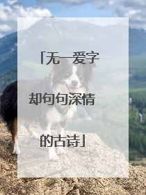 无一爱字却句句深情的古诗
