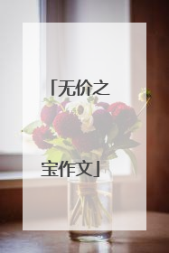 无价之宝作文