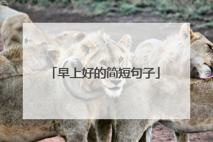 早上好的简短句子