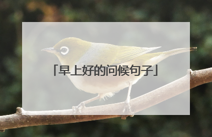 早上好的问候句子