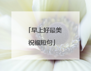 早上好最美祝福短句