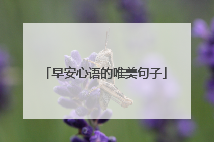 早安心语的唯美句子
