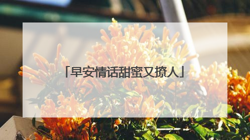 早安情话甜蜜又撩人