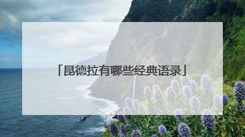 昆德拉有哪些经典语录