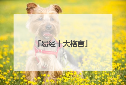 易经十大格言