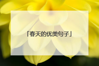 春天的优美句子