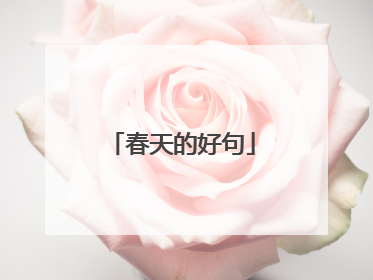 春天的好句