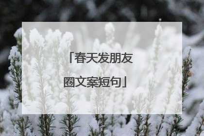 春天发朋友圈文案短句