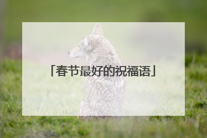 春节最好的祝福语