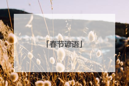 春节谚语