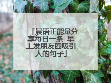 晨语正能量分享每日一条 早上发朋友圈吸引人的句子