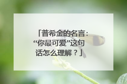 普希金的名言:“你最可爱”这句话怎么理解?