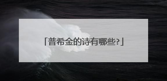 普希金的诗有哪些?
