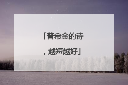 普希金的诗,越短越好