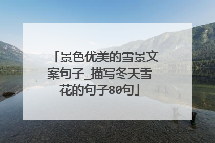 景色优美的雪景文案句子_描写冬天雪花的句子80句