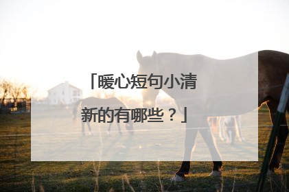 暖心短句小清新的有哪些?