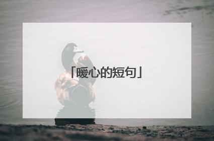 暖心的短句