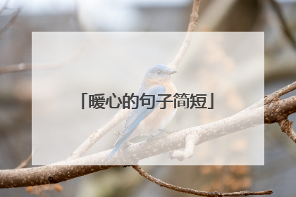 暖心的句子简短