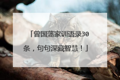 曾国藩家训语录30条，句句深藏智慧！