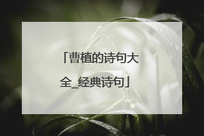 曹植的诗句大全_经典诗句