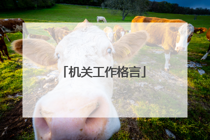 机关工作格言