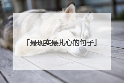 最现实最扎心的句子