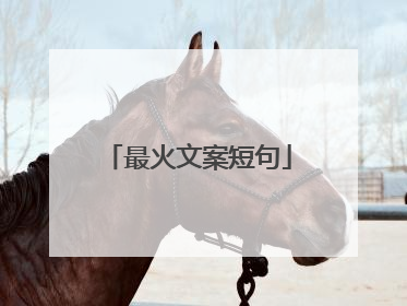 最火文案短句