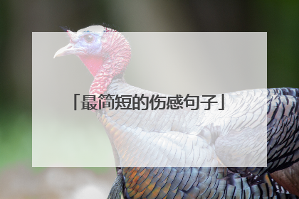 最简短的伤感句子