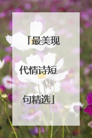 最美现代情诗短句精选