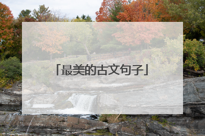 最美的古文句子