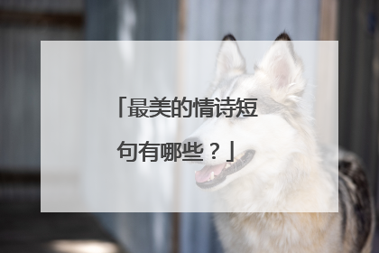 最美的情诗短句有哪些?