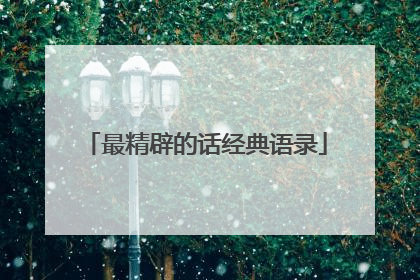 最精辟的话经典语录