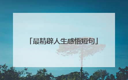 最精辟人生感悟短句