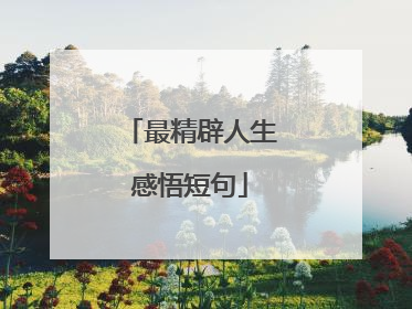 最精辟人生感悟短句