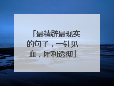 最精辟最现实的句子,一针见血,犀利透彻
