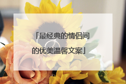 最经典的情侣间的优美温馨文案
