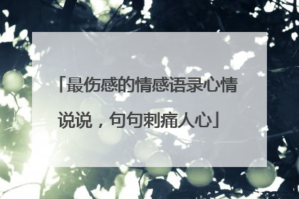 最伤感的情感语录心情说说,句句刺痛人心