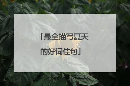 最全描写夏天的好词佳句