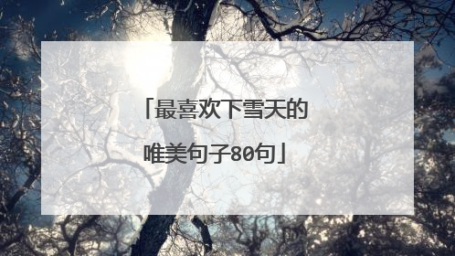 最喜欢下雪天的唯美句子80句