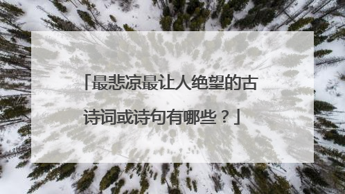 最悲凉最让人绝望的古诗词或诗句有哪些?